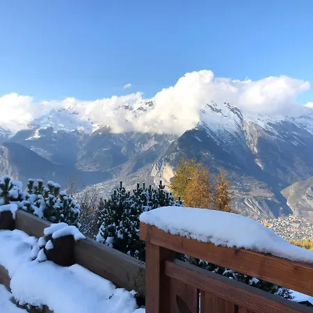 Chalet Les Bonheurs * 南达