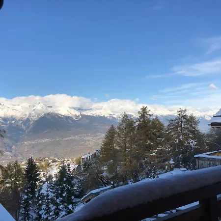 Chalet Les Bonheurs 木屋